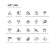 set of 20 line icons such as eastern cottonwood tree, cucumber tree tree, american elm slippery elm balsam fir pitch pine pine eastern cedar sassafras shadbush nature outline thin icons collection.