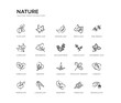 set of 20 line icons such as subulate, obovate, orbicular, fasciculate, escuamiforme, obcordate, cuspicate, birch leaf, orange leaf, grape leaf. nature outline thin icons collection. editable 64x64