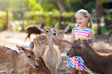 Child feeding wild deer at zoo. Kids feed animals.