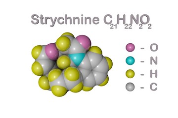 Structural chemical formula and molecular model of strychnine, a highly toxic, colorless, bitter, crystalline plant alkaloid. It is often used as a pesticide. Scientific background. 3d illustration