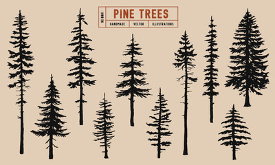 pine tree silhouette vector illustration hand drawn