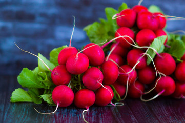 Wall Mural - Red fresh radish on a dark wooden table.