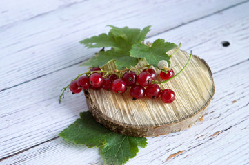 Poster - Sprig red ripe currants on a wooden cut with a snail.  Selective focus