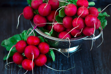 Poster - A bunch of fresh ripe radish on a dark background in a colander  Fresh and organic radish 