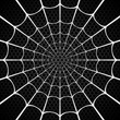 White spider web on black background