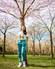 Wall Mural - Woman under blooming cherry blossom tree in Amsterdam cherry blossom tree park