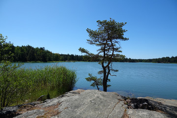 Wall Mural - Naturreservat Ragö bei Stockholm, Schweden