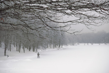 Wall Mural - Cross-country Skier in Winter Landscape