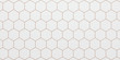 Light background of white hexagonal cells  - 3D illustration