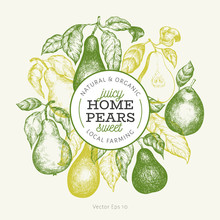 Pear Design Template. Hand Drawn Vector Garden Fruit Illustration. Engraved Style Garden Fruit Frame. Retro Botanical Banner.