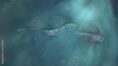 Fotomural giant oarfish, beautiful Regalecus glesne so called king of herrings source of s
