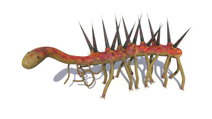 Hallucigenia, prehistoric aquatic animal from the Cambrian Period isolated on white background (3d science illustration)