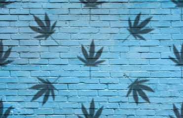 Wall Mural - shadow of Hemp or cannabis leaves seamless pattern.