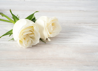 Canvas Print - White roses on a white wooden table