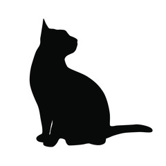 Vector silhouette of the cat  sitting,  black color, isolated on white background