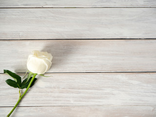 Canvas Print - White roses on a white wooden table