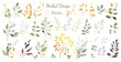 Green leaves with gold. Large set: bouquets, arrangement of leaves and gold elements, twigs, decorative herbs. Vector design.