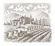 Engraving style illustration of an european vineyard (farm). Vector. 