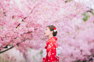 Wall Mural - Asian woman wearing kimono with cherry blossoms,sakura in Japan.