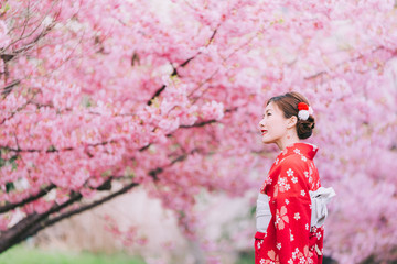 Wall Mural - Asian woman wearing kimono with cherry blossoms,sakura in Japan.