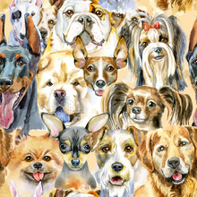 Watercolor Seamless Pattern Of Dogs On White Background
