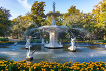 Fountain In Forsyth Park, Savannah