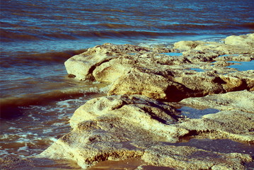 rocky sea shore