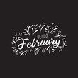 © temitiman - Handwritten phrase for banner, Hand drawn typography lettering phrase Hello february. Hello february phrase for calendar, flyer, greeting card, calendar. - Vector