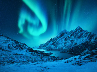 Wall Mural - aurora borealis above the snow covered mountains in lofoten islands, norway. northern lights in wint