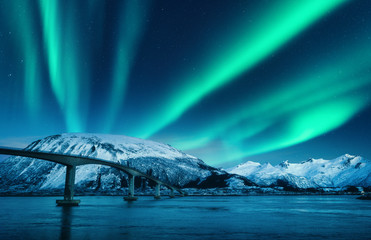 Wall Mural - bridge and aurora borealis over snowy mountains at night in lofoten islands, norway. amazing norther