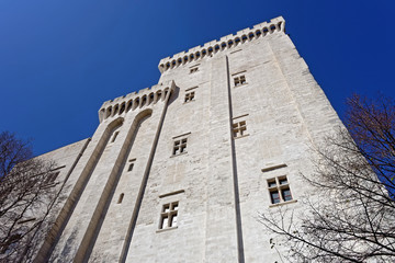 Sticker - Palais des Papes Avignon