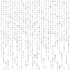 Wall Mural - background with digits on screen. binary code zero one matrix white background. banner, pattern, wal