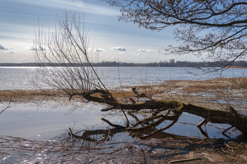 Early spring landscape on the river and trees without leaves on a sunnu and cloudy day.