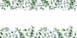 Watercolor eucalyptus seamless border. Hand painted eucalyptus branch and leaves isolated on white background. Floral illustration for design, print, fabric or background.
