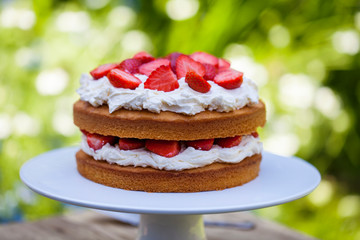 Summer berry cake