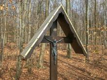 Jesus Christian Cross In Beech Forest In Germany 