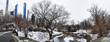 Central Park Winter Panorama