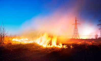 Wall Mural - burning grass in the field