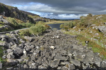 Poster - Gap of Dunloe, Ireland