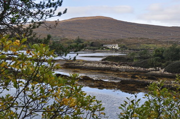 Wall Mural - A View of Sneem River in Ireland