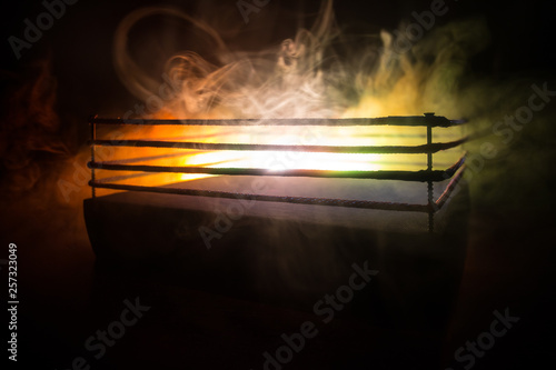 Εκτύπωση καμβά Empty boxing ring with red ropes for match in the stadium arena