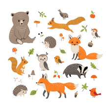 Woodland Animals Free Stock Photo - Public Domain Pictures