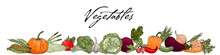Border With Hand Drawn Vegetables On A White Background.