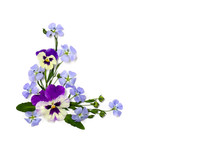 Violet Flowers Viola Tricolor, Blue Flowers Flax And Capsule With Seed Flax ( Linseed ) On A White Background With Space For Text. Top View, Flat Lay