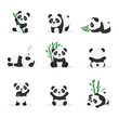 Cute pandas flat vector color illustrations set