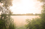 Fototapeta Krajobraz - View through the jungle to the lake and sunset. Summer landscape.