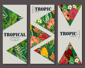 Wall Mural - Vector collection with six cards, notes and banners with toucan, exotic flowers, plants and leaves.