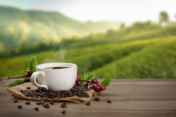 Hot coffee cup with fresh organic red coffee beans and coffee roasts on the wooden table and the black background with copyspace for your text.