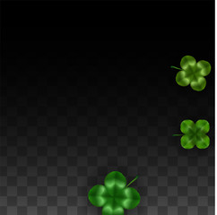 Vector Clover Leaf  Isolated on Transparent Background with Space for Text. St. Patrick's Day Illustration. Ireland's Lucky Shamrock Poster. Invintation for Concert in Pub. Top View. Success Symbols.