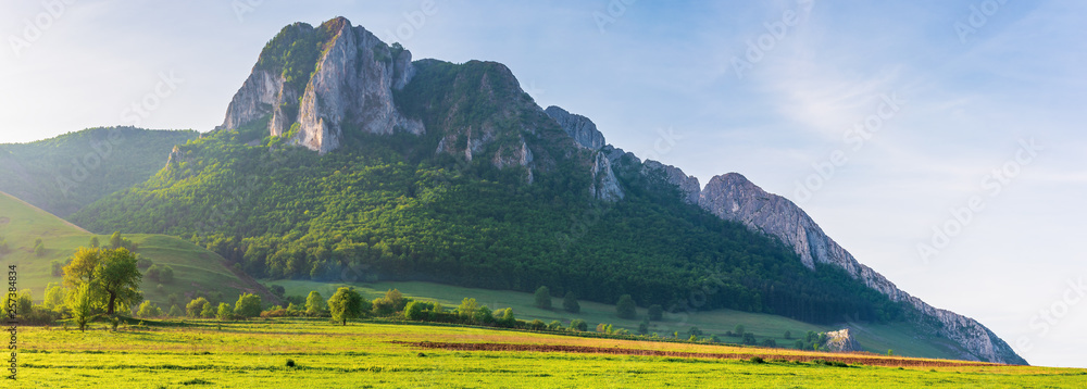 beautiful panorama of romania countryside. wonderful sunny morning in mountains. grassy meadow on the hillside and Piatra Secuiului - obrazy, fototapety, plakaty 
